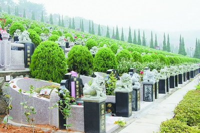 沈陽公墓網告訴你公墓的石獅子擺放位置